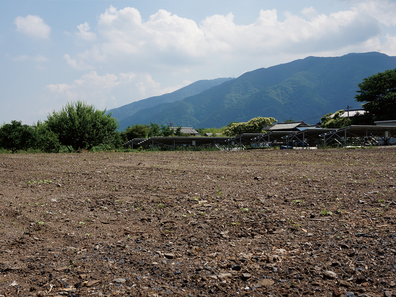 #04 木造社屋・木造鶏舎解体工事 岐阜県揖斐郡揖斐川町05